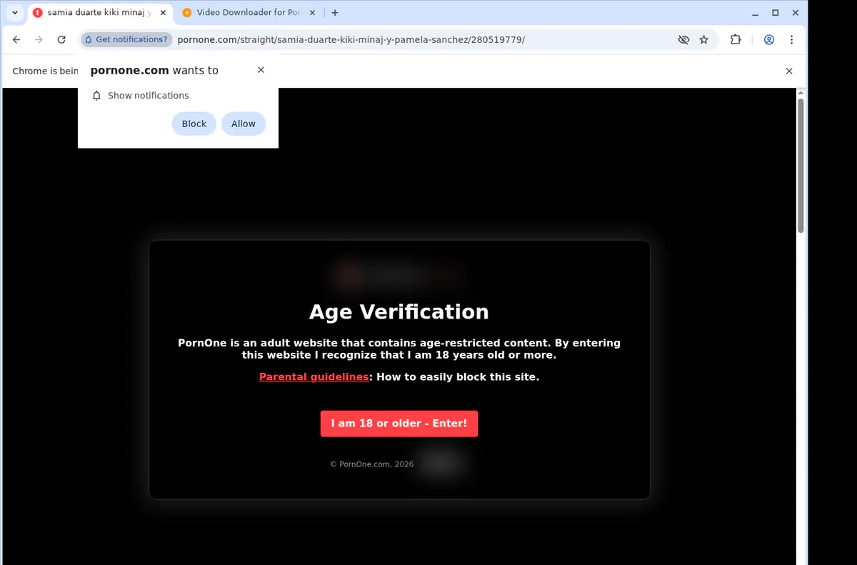 PornOne Video Downloader screenshot 2