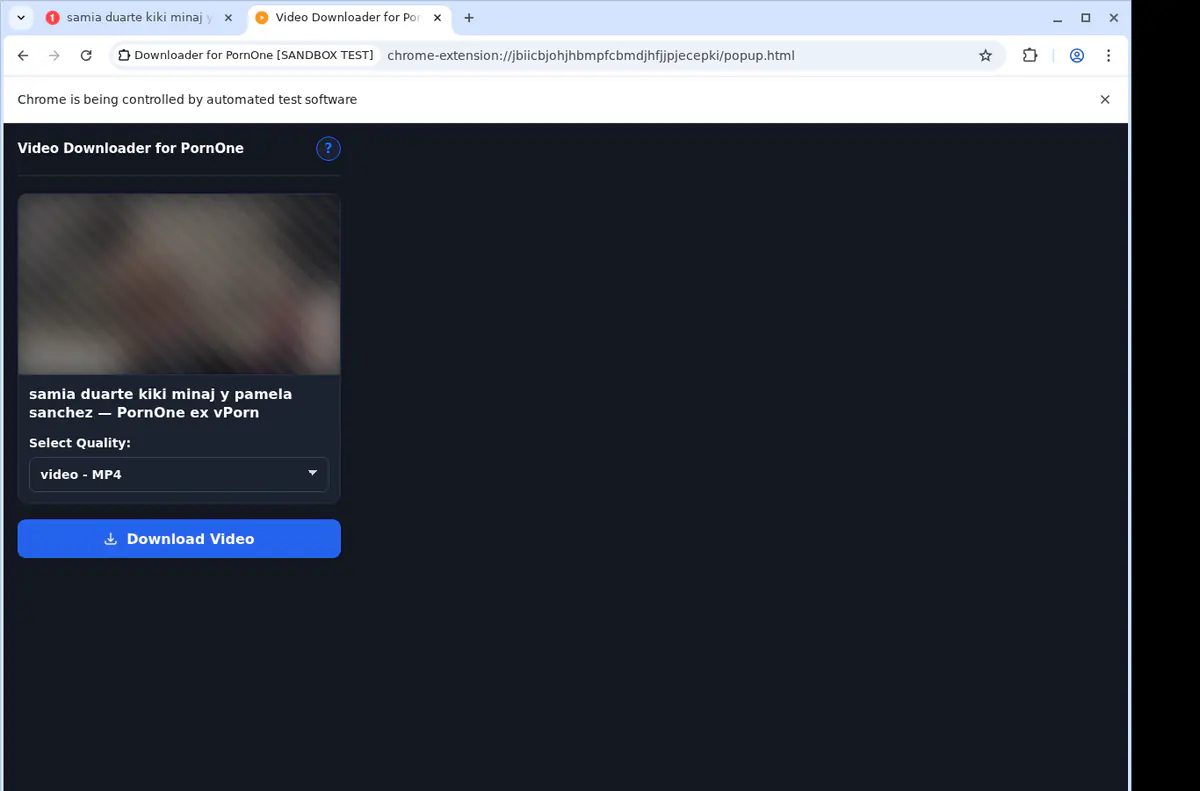 PornOne Video Downloader screenshot 3